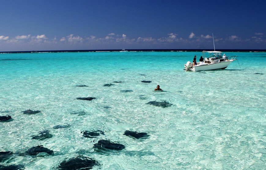 3 Stop Stingray City Tour