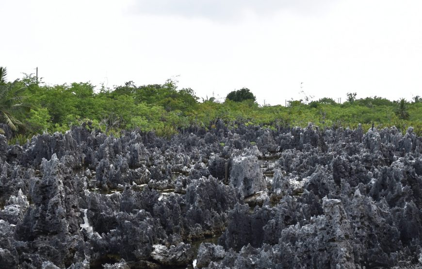 Full Grand Cayman Island Tour – Grand Cayman Attractions