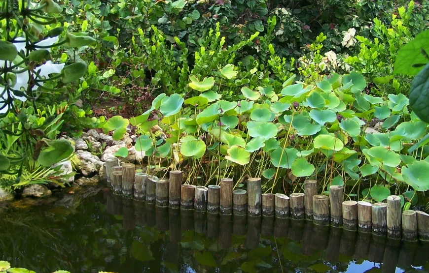 Cayman Crystal Caves & Pedro St James / Queen Elizabeth II Botanical Gardens Tour