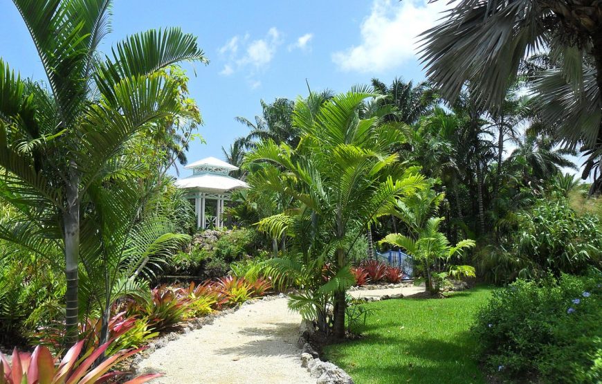 Full Grand Cayman Island Group Tour