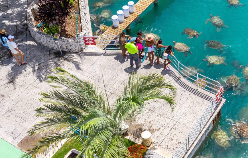 Full Grand Cayman Island Tour – Grand Cayman Attractions