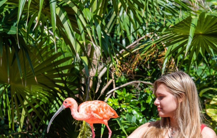 West End Tour of Grand Cayman Island