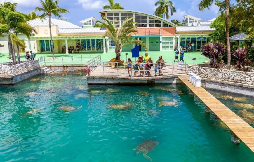 Full Grand Cayman Island Group Tour