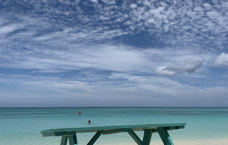 Full Grand Cayman Island Group Tour