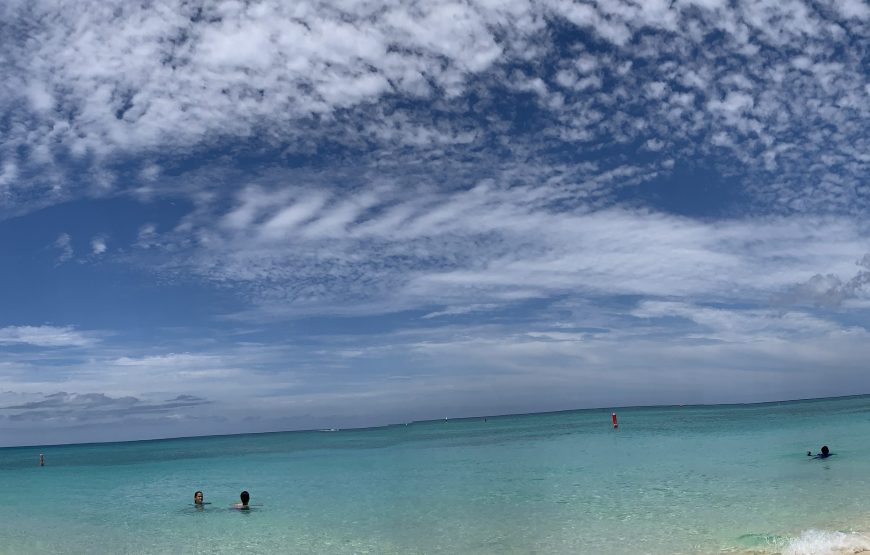Full Grand Cayman Island Group Tour