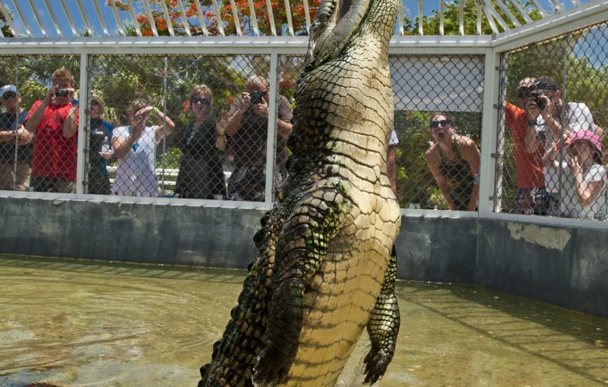 West Island Group Tour in Grand Cayman